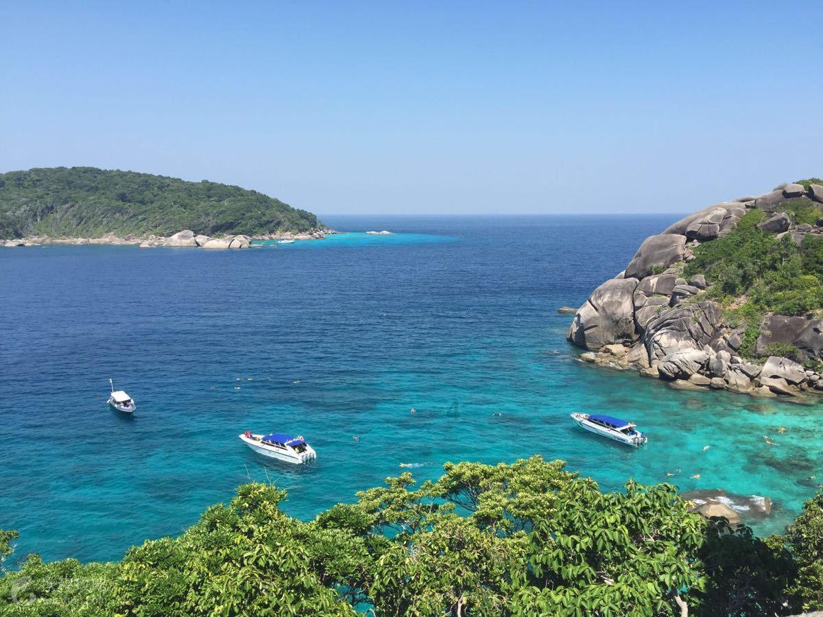 首店经济激发消费新动能(大数据观察)