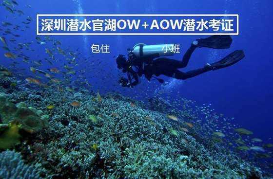 年味是什么？